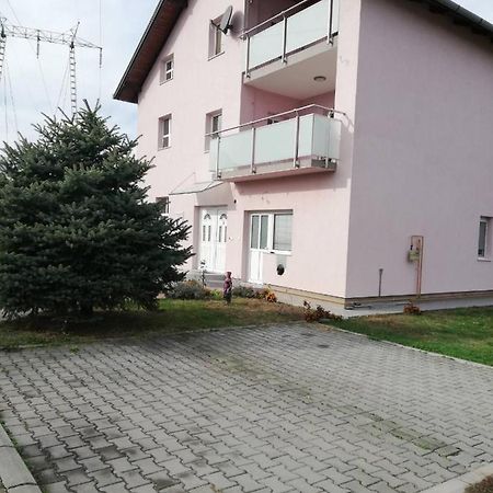 Slavuj Apartment Novi Sad Bagian luar foto