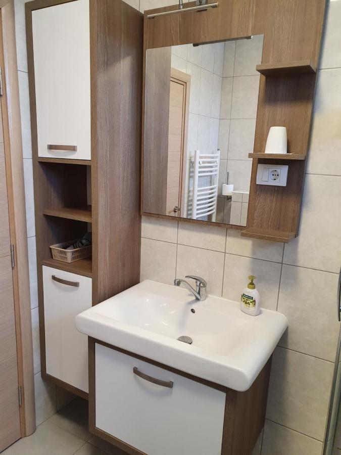 Slavuj Apartment Novi Sad Bagian luar foto