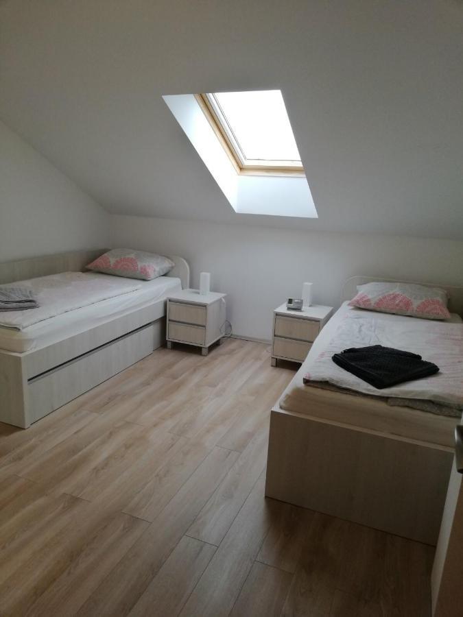 Slavuj Apartment Novi Sad Bagian luar foto